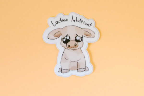 Lactose Intolerant