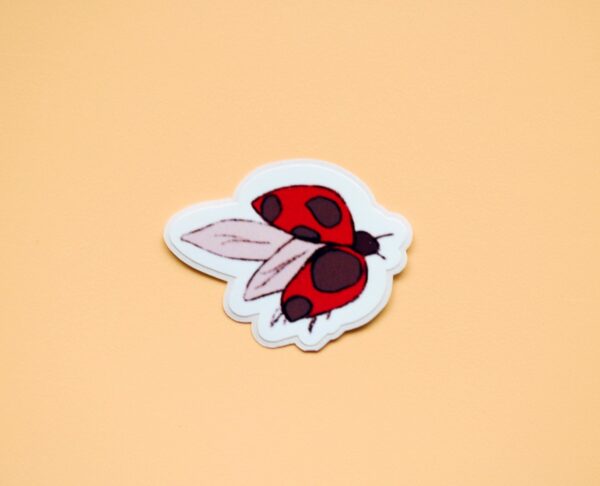 Ladybug