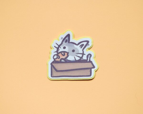 Cat in a box