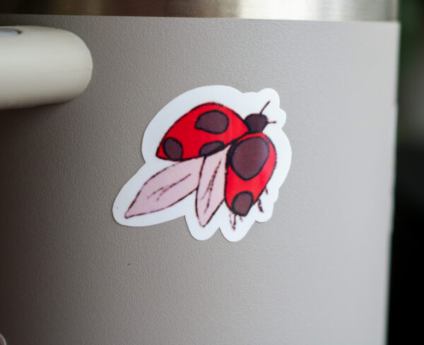 Ladybug - Image 2