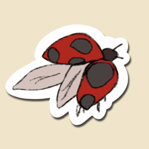 Ladybug